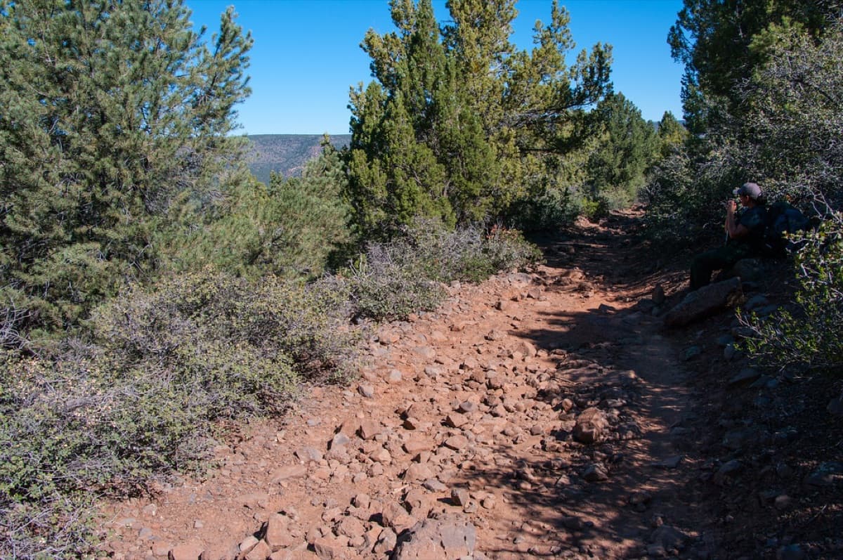 Ridgeline 45L Trail Pack